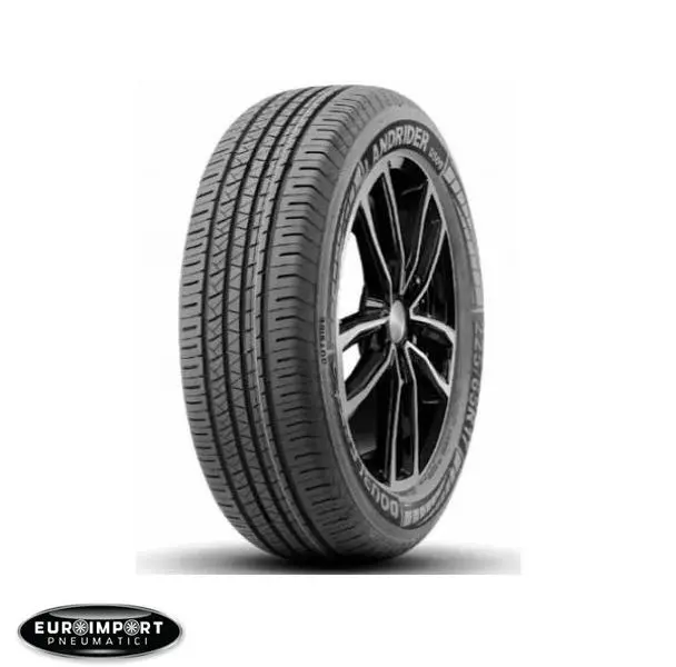 Doublestar DS09  225/60 R17 99 H  